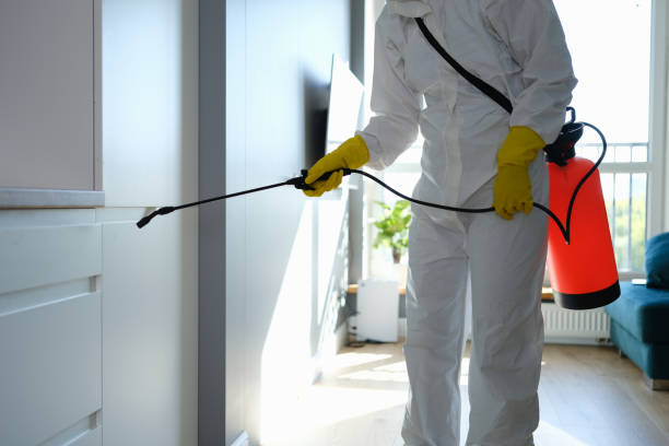 Best Pest Exclusion Services  in Ionia, MI